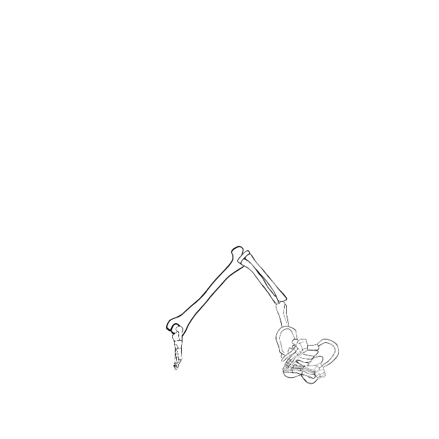 Dem bones dem bones dem – dry bones!