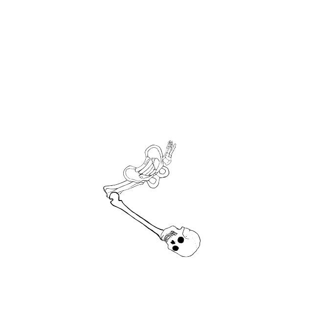 Dem bones dem bones dem – dry bones!