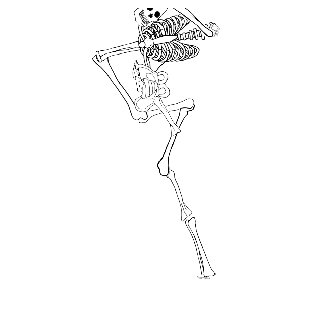 Dem bones dem bones dem – dry bones!