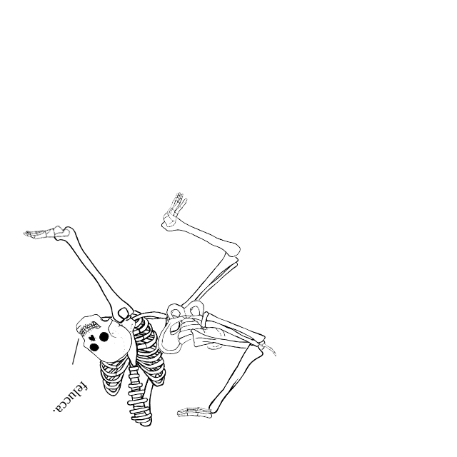 Dem bones dem bones dem – dry bones!