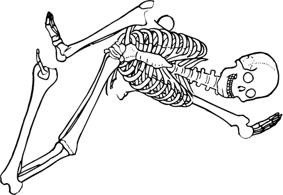 Dem bones dem bones dem – dry bones!