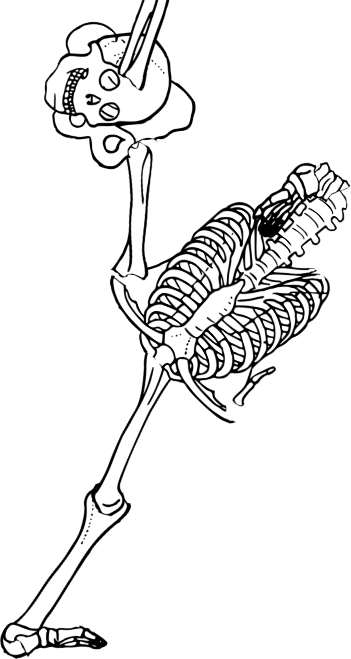 Dem bones dem bones dem – dry bones!