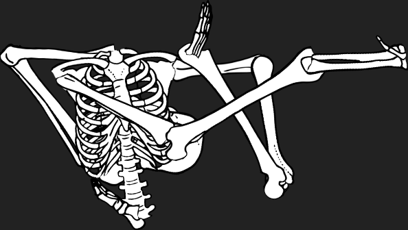Dem bones dem bones dem – dry bones!