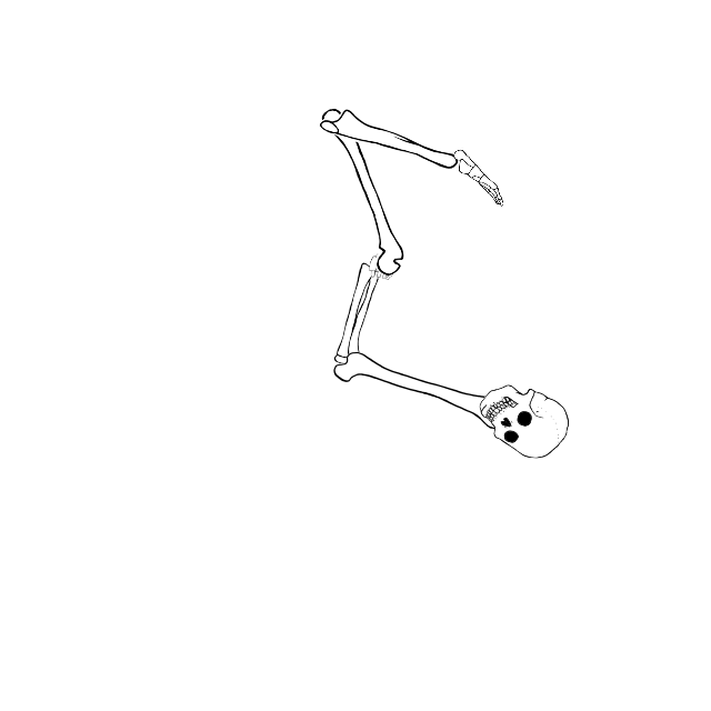 Dem bones dem bones dem – dry bones!