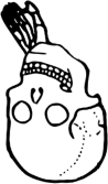 Dem bones dem bones dem – dry bones!
