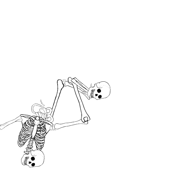 Dem bones dem bones dem – dry bones!