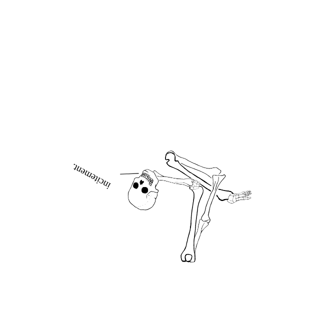 Dem bones dem bones dem – dry bones!
