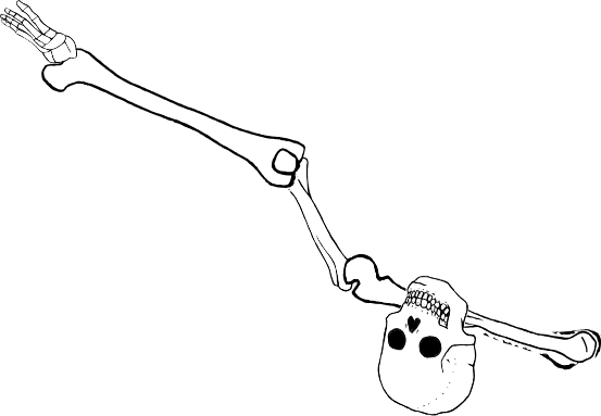 Dem bones dem bones dem – dry bones!