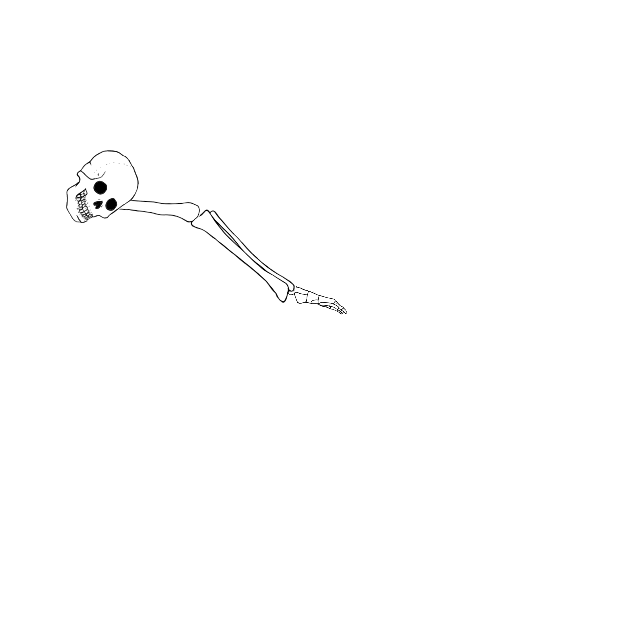 Dem bones dem bones dem – dry bones!