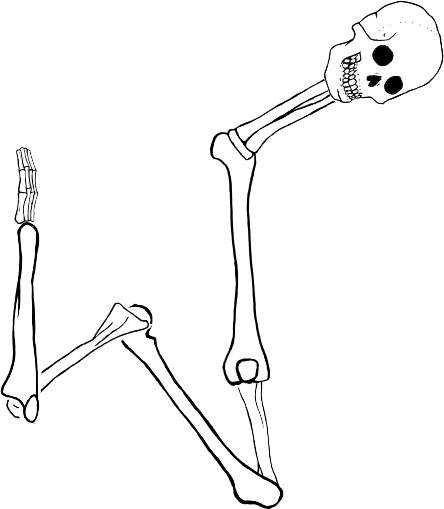 Dem bones dem bones dem – dry bones!