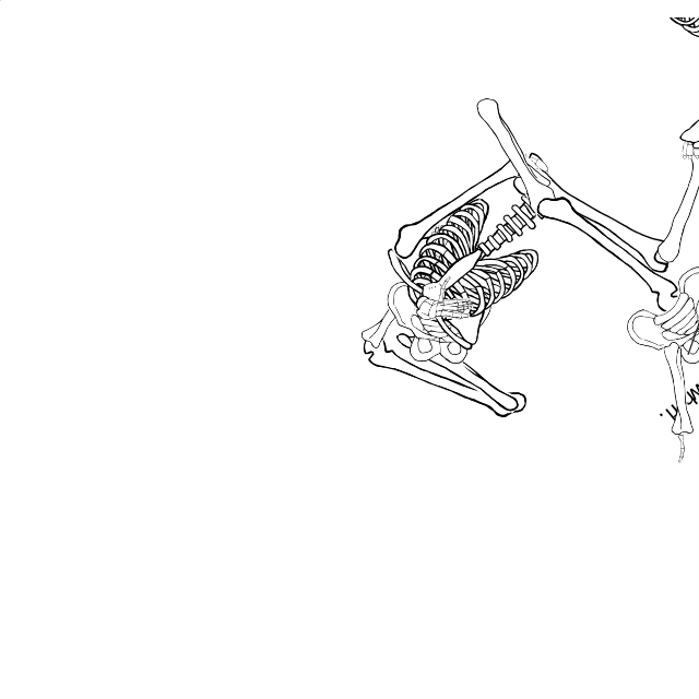 Dem bones dem bones dem – dry bones!