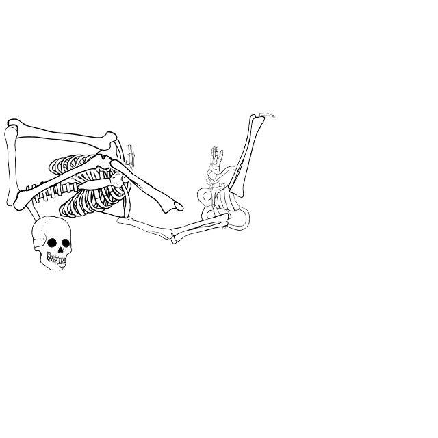 Dem bones dem bones dem – dry bones!