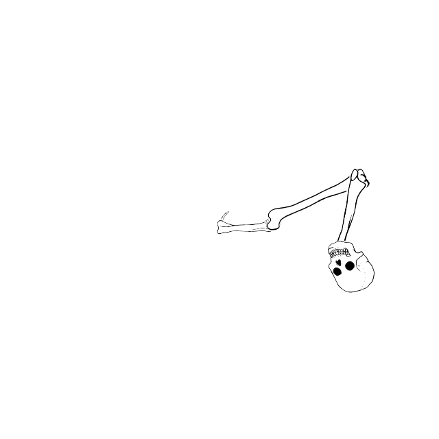 Dem bones dem bones dem – dry bones!