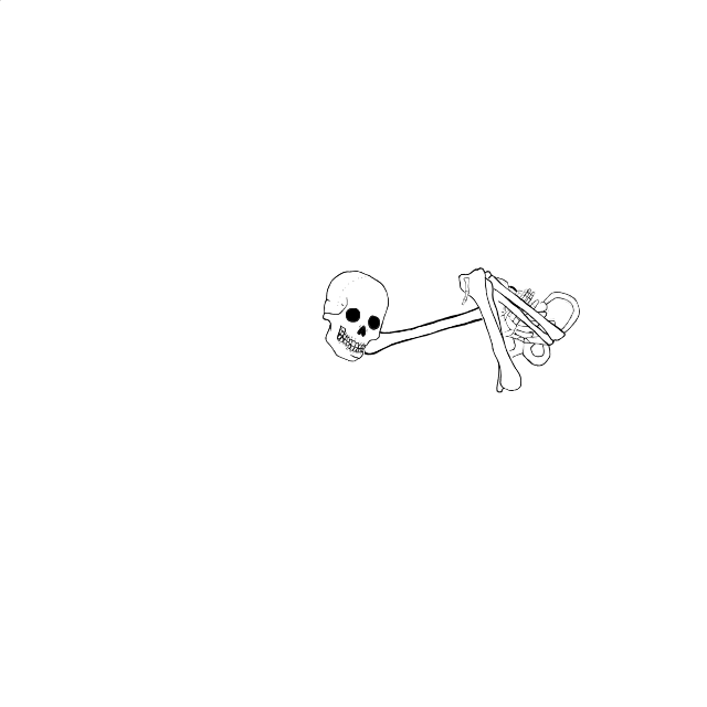 Dem bones dem bones dem – dry bones!