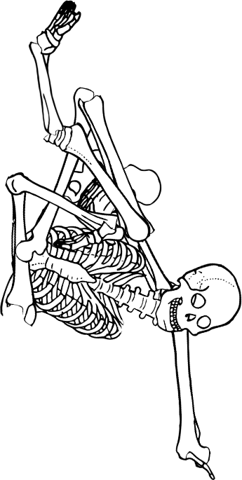 Dem bones dem bones dem – dry bones!