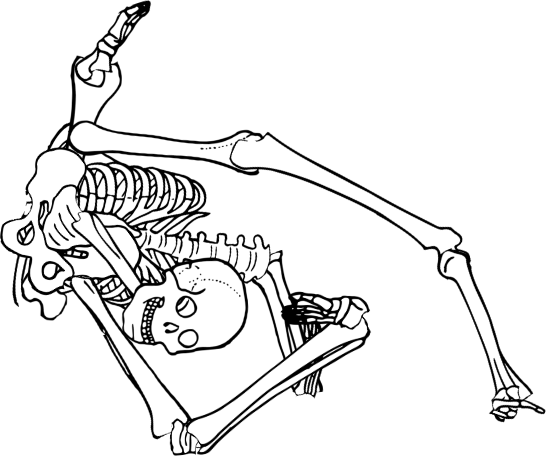 Dem bones dem bones dem – dry bones!