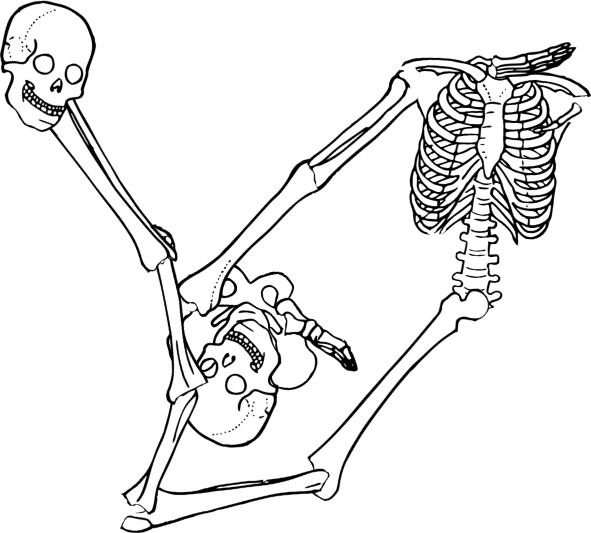 Dem bones dem bones dem – dry bones! Dem bones dem bones dem – extra bones!