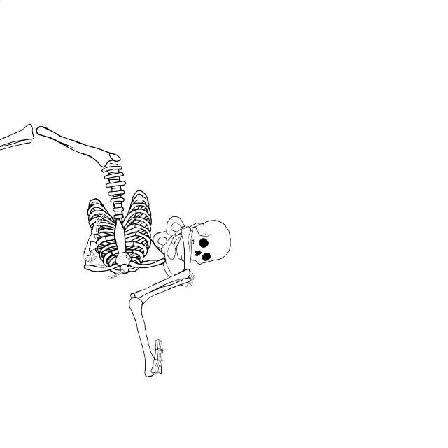 Dem bones dem bones dem – dry bones!