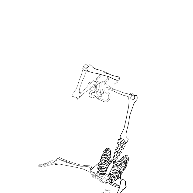 Dem bones dem bones dem – dry bones!