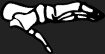 Dem bones dem bones dem – dry bones!