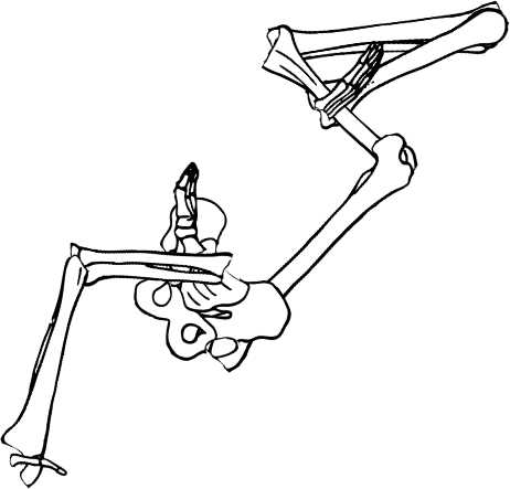 Dem bones dem bones dem – dry bones!