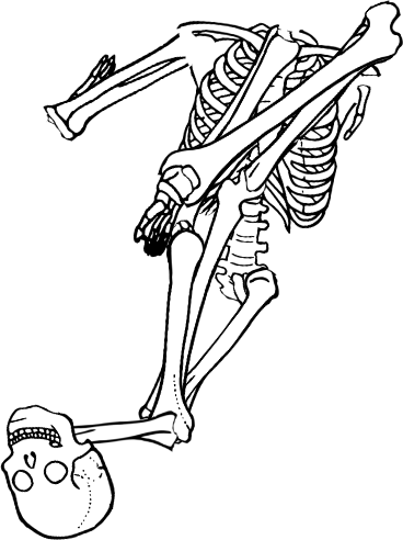 Dem bones dem bones dem – dry bones!