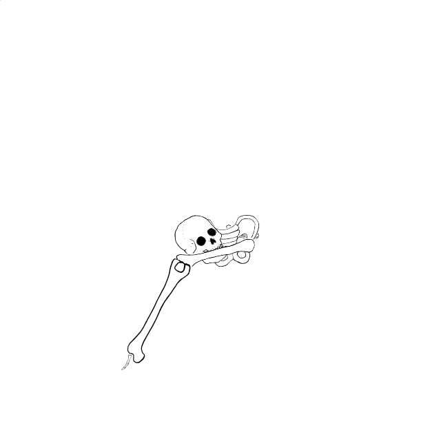 Dem bones dem bones dem – dry bones!