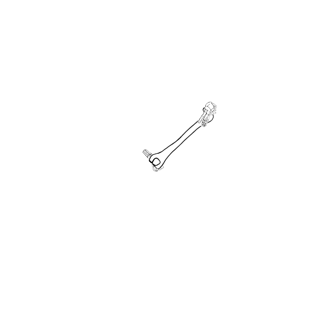 Dem bones dem bones dem – dry bones!
