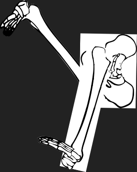 Dem bones dem bones dem – dry bones!