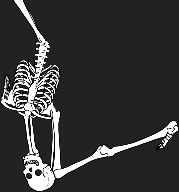 Dem bones dem bones dem – dry bones!