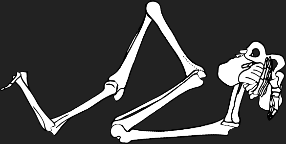 Dem bones dem bones dem – dry bones!