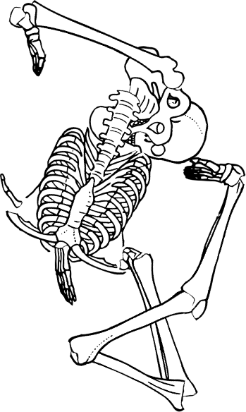 Dem bones dem bones dem – dry bones!