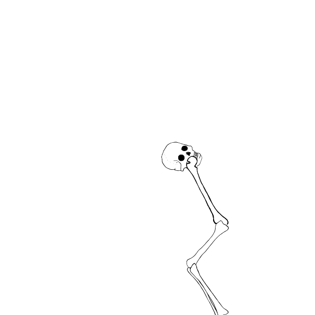 Dem bones dem bones dem – dry bones!