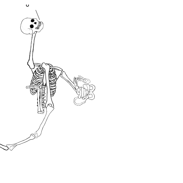 Dem bones dem bones dem – dry bones!