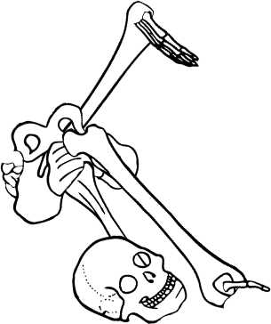 Dem bones dem bones dem – dry bones!