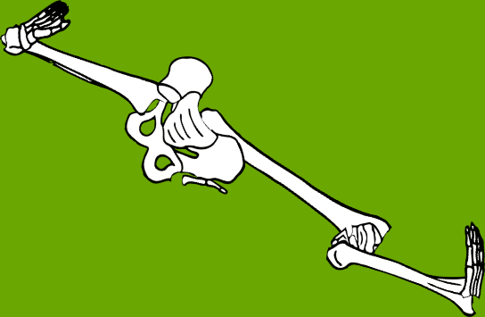 Dem bones dem bones dem – dry bones!