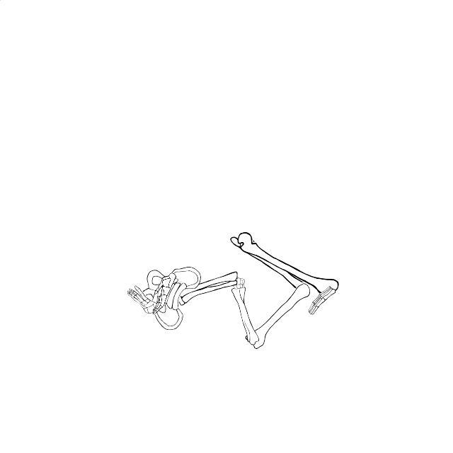 Dem bones dem bones dem – dry bones!