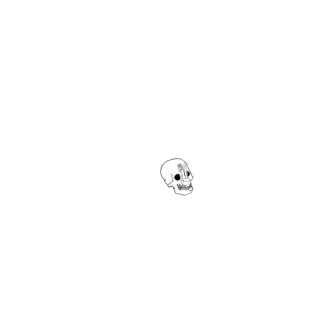 Dem bones dem bones dem – dry bones!