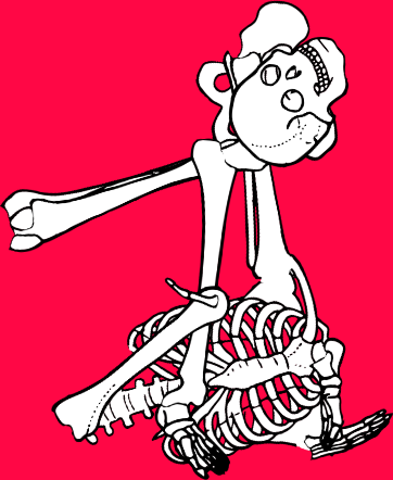 Dem bones dem bones dem – dry bones!