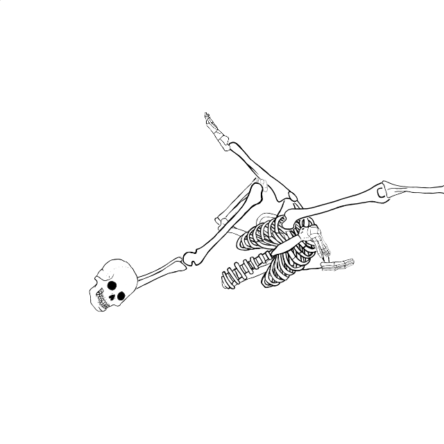 Dem bones dem bones dem – dry bones!