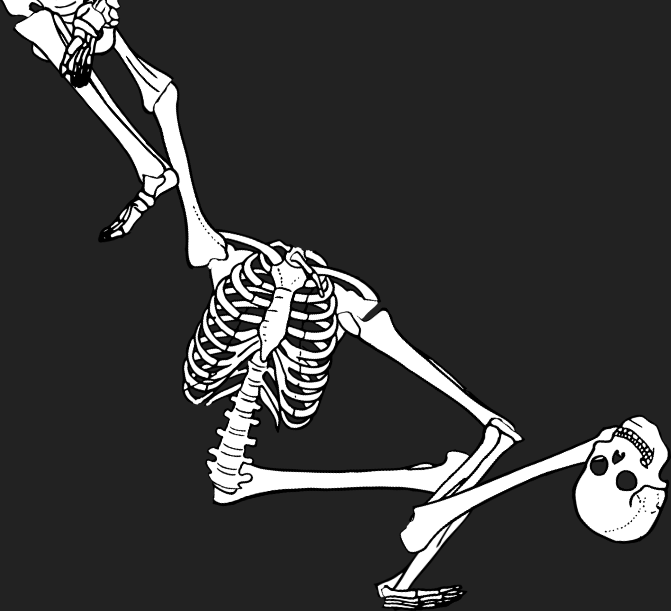 Dem bones dem bones dem – dry bones!