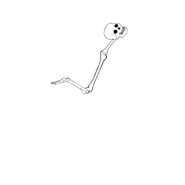 Dem bones dem bones dem – dry bones!