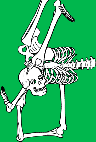 Dem bones dem bones dem – dry bones!
