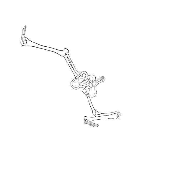 Dem bones dem bones dem – dry bones!