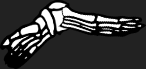 Dem bones dem bones dem – dry bones!
