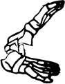Dem bones dem bones dem – dry bones!
