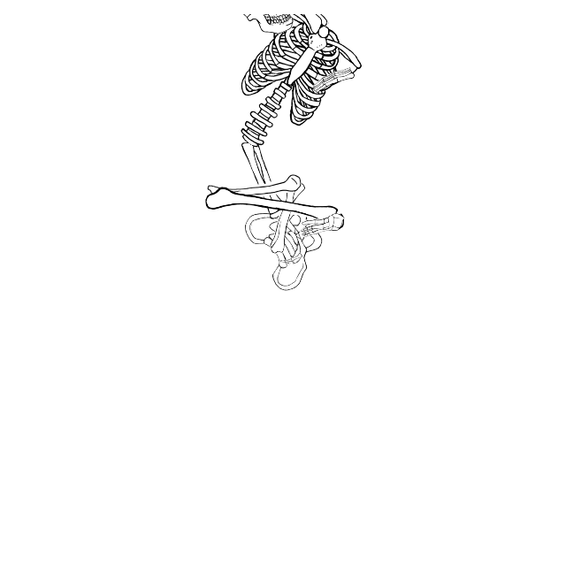 Dem bones dem bones dem – dry bones!