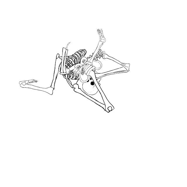 Dem bones dem bones dem – dry bones!