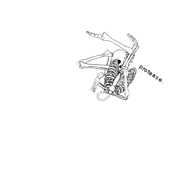 Dem bones dem bones dem – dry bones!