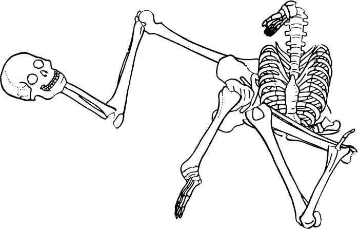 Dem bones dem bones dem – dry bones!